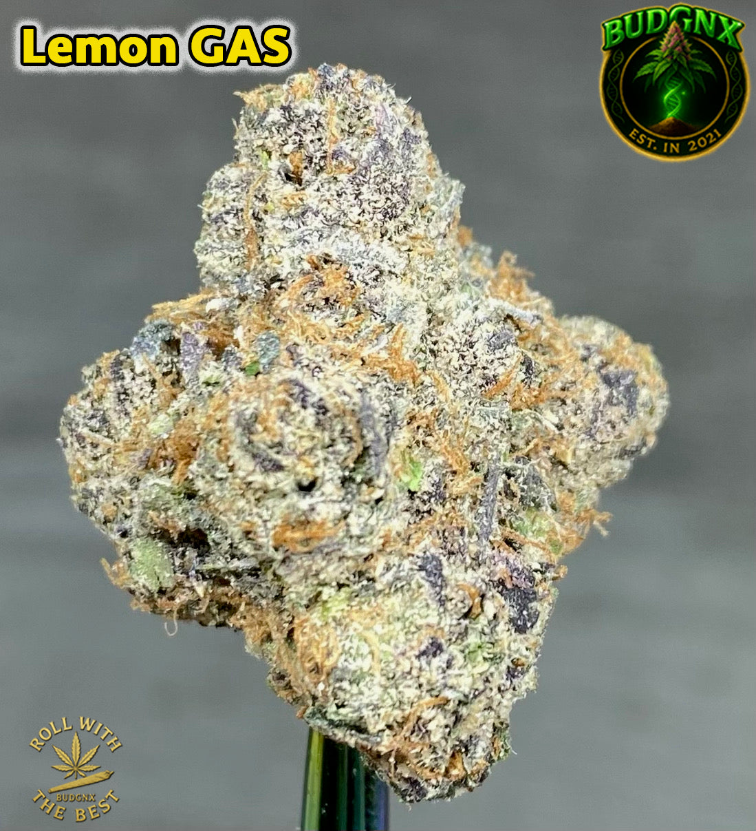 Indoor Exotic High Potency Flower