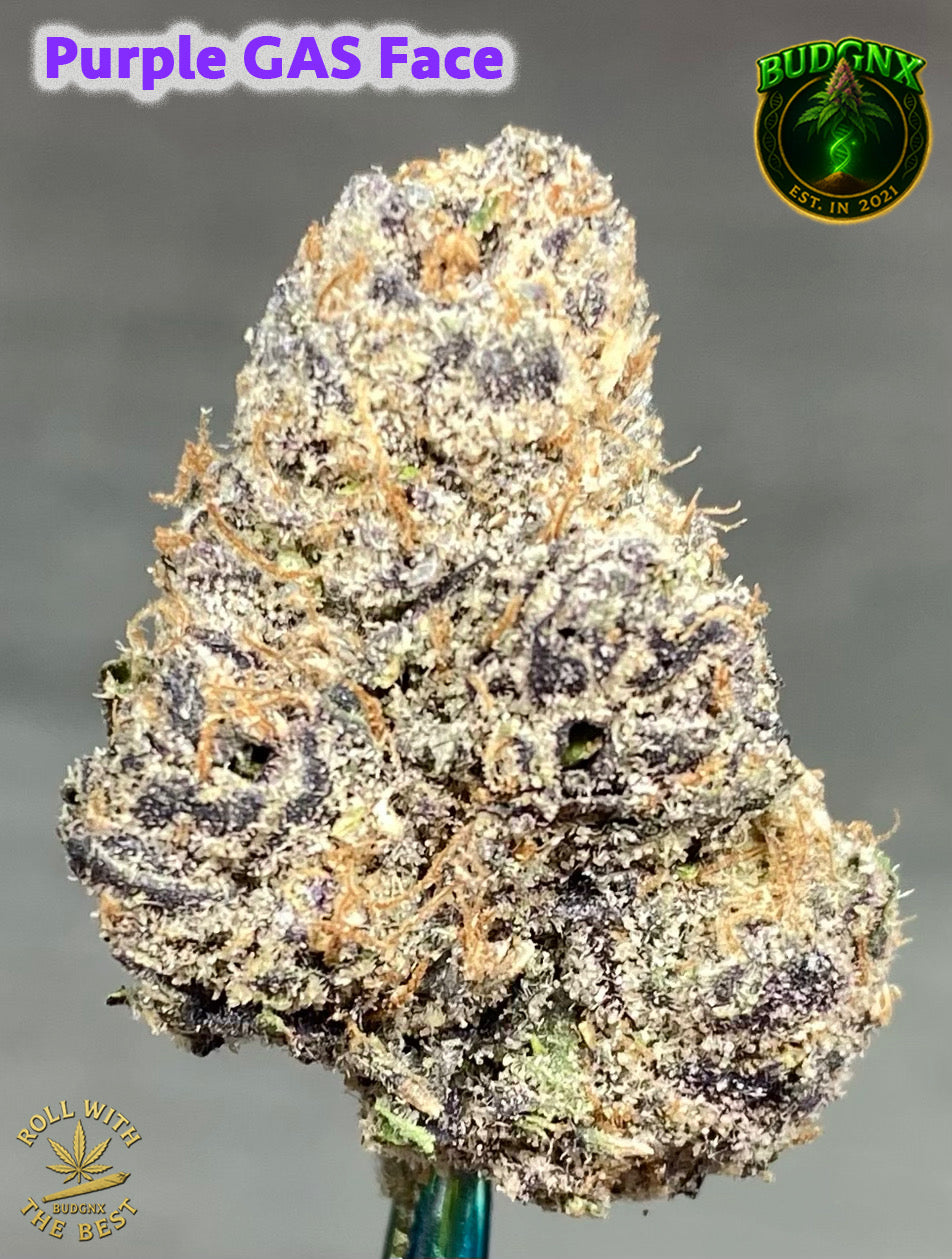 Indoor Exotic High Potency Flower