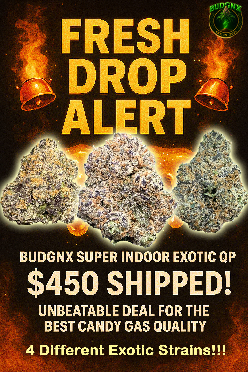 $450 Indoor Exotic Bundle