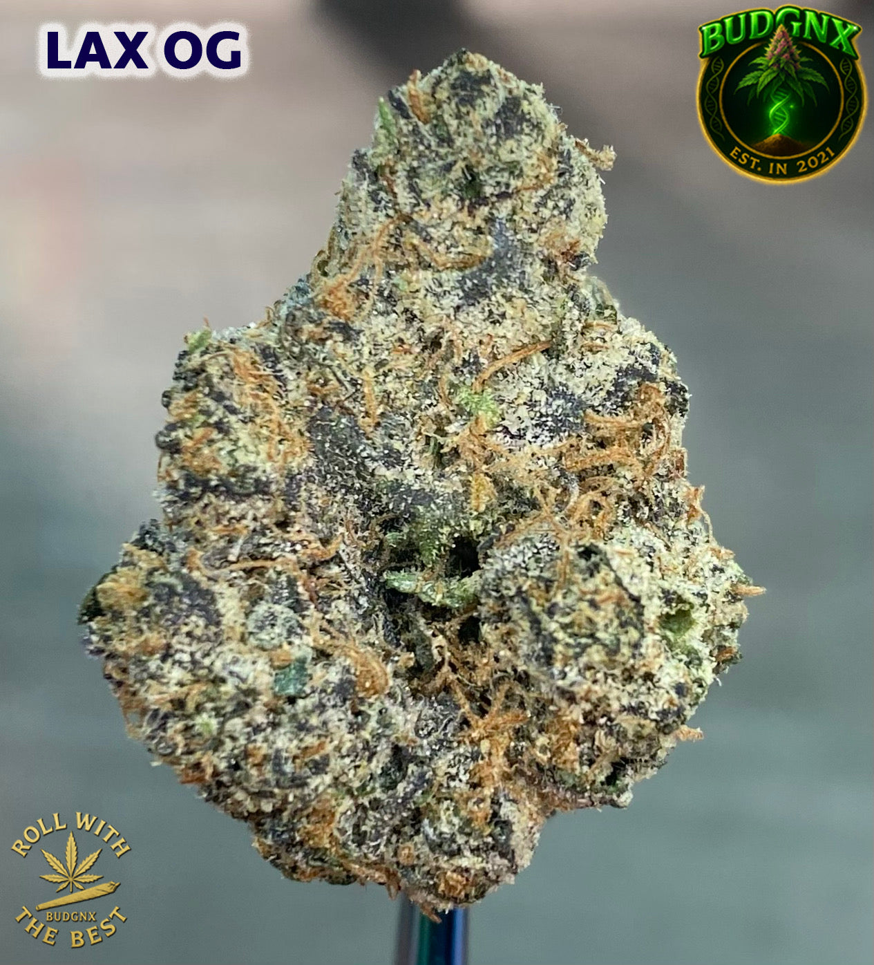 Indoor Exotic High Potency Flower