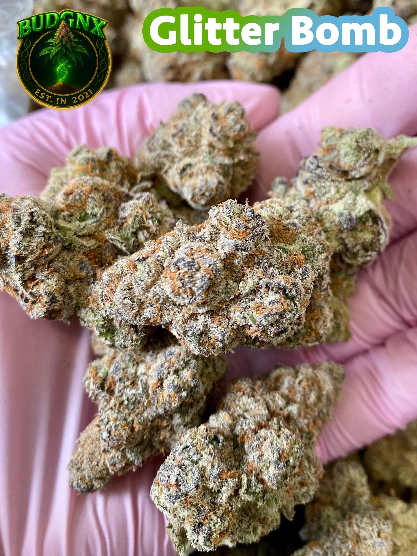 💎Glitter Bomb-Indoor Exotic Ounce