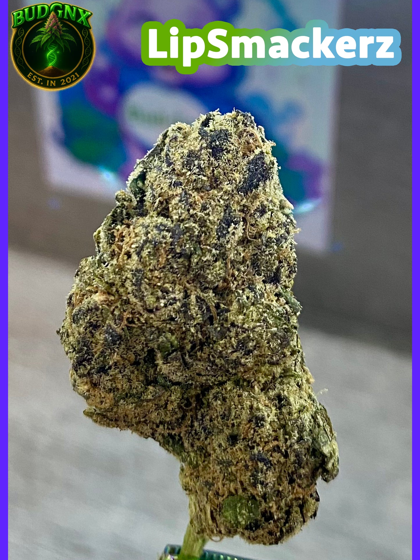 LipSmackerz -Indoor Exotic Ounce