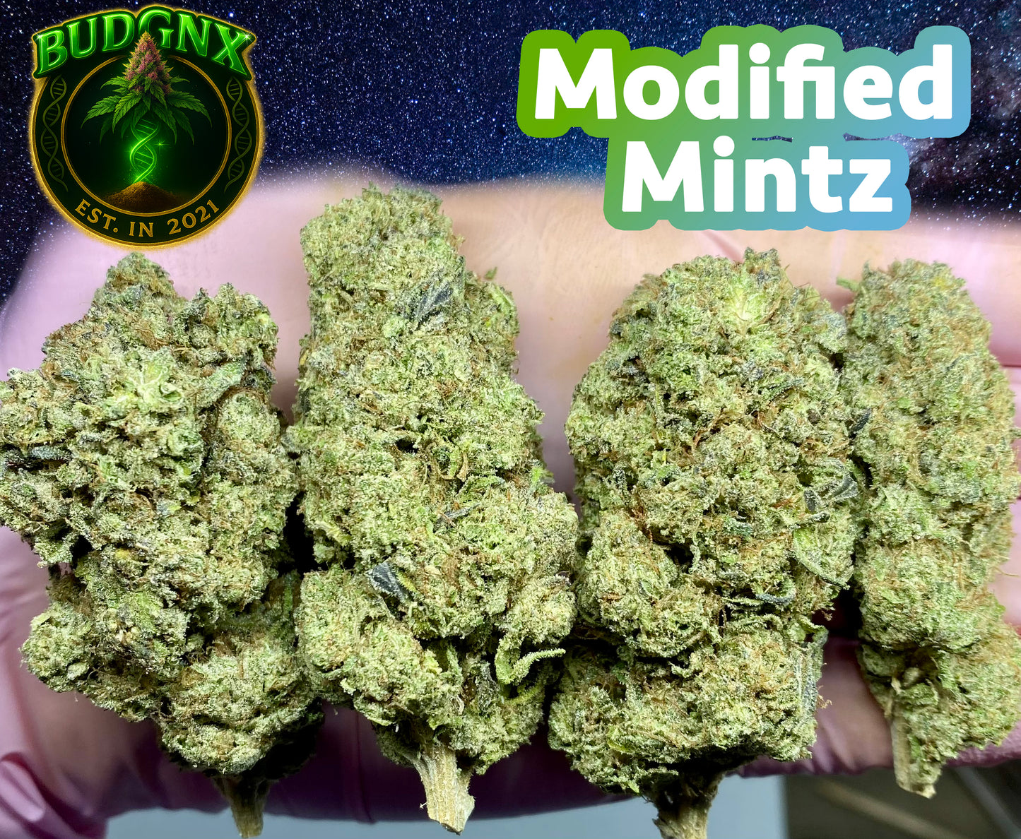TOP SHELF Modified Mintz $120- Affordable Ounce