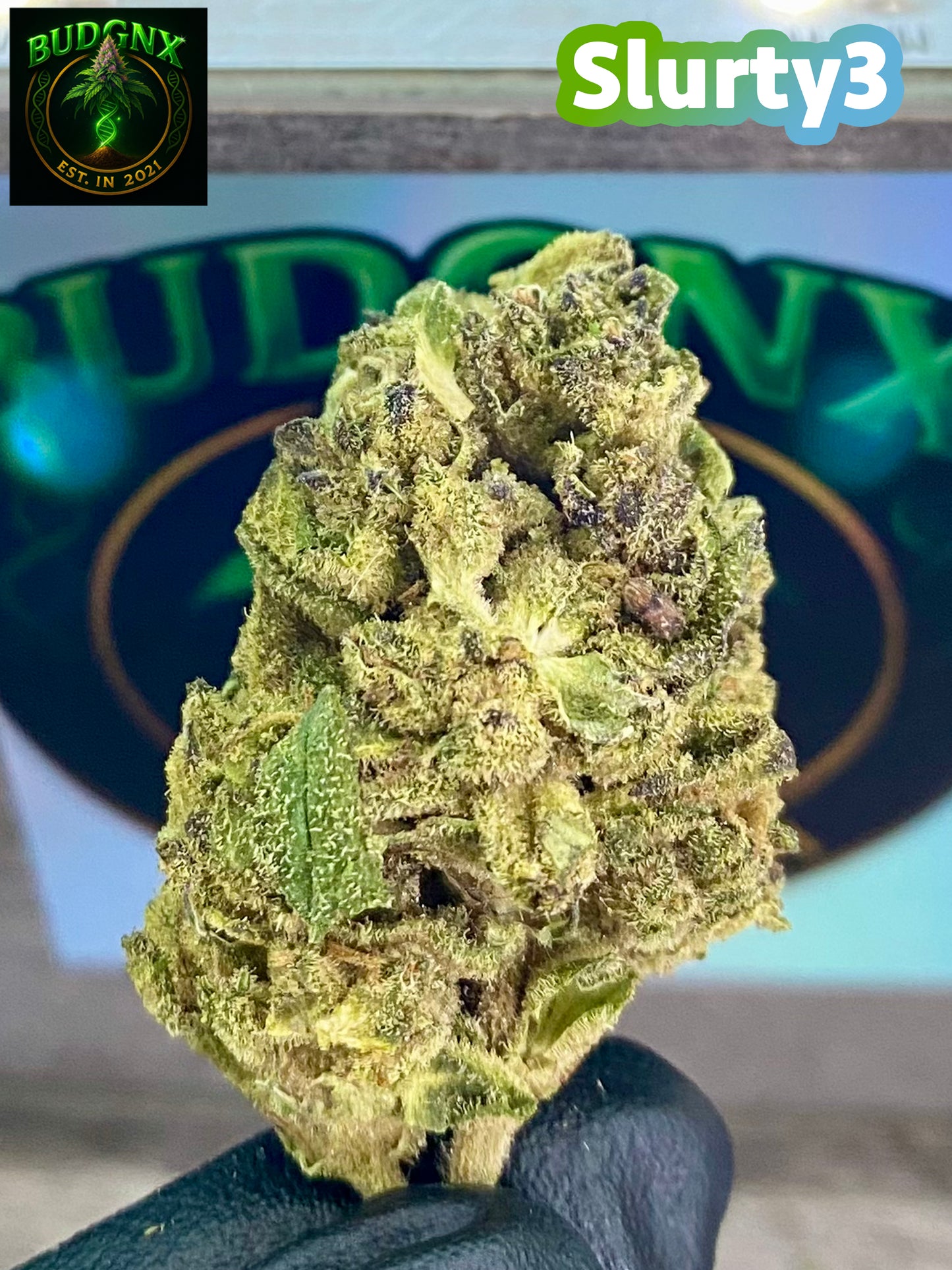 Slurty3 -Budget Ounce