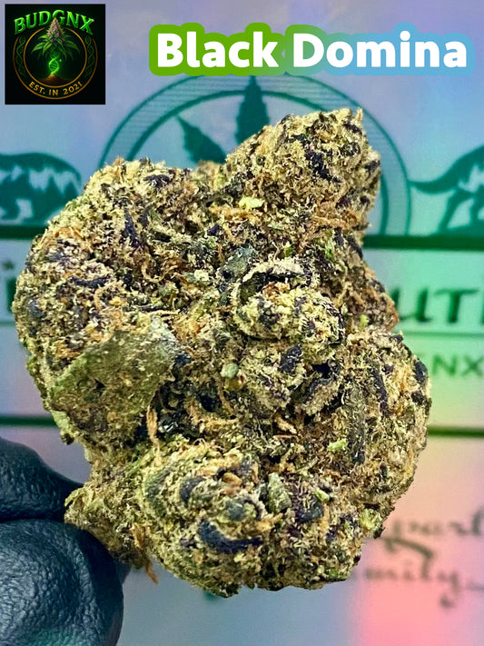 Black Domina -Indoor Exotic Ounce
