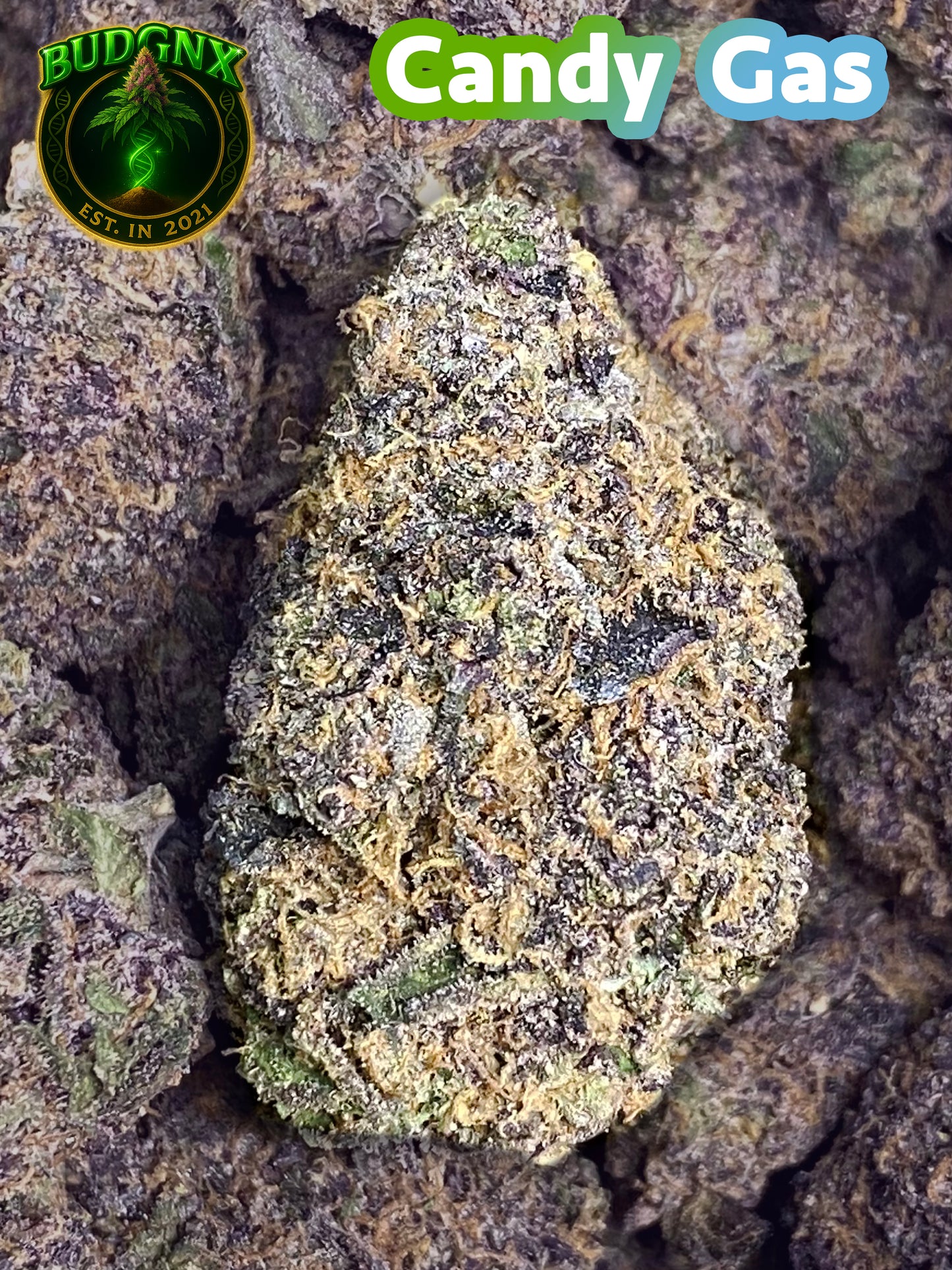 Indoor Exotic  - CANDY GAS ⛽️