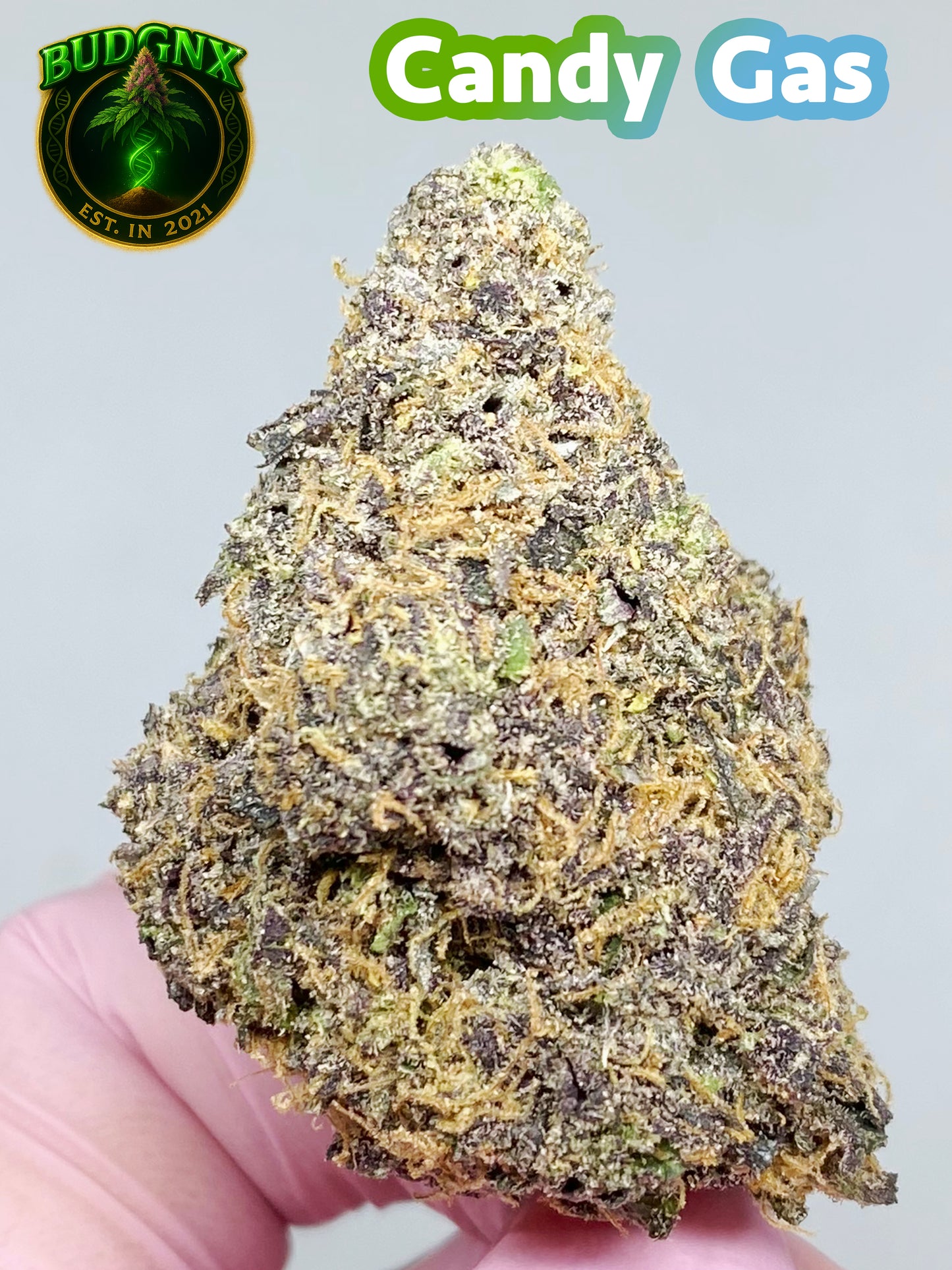 Indoor Exotic  - CANDY GAS ⛽️