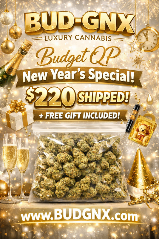 🎉 BUD-GNX Budget QP – New Year’s Special 🎉