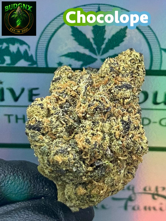 Chocolope -Indoor Exotic Ounce