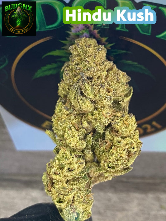 Hindu Kush -Budget Ounce