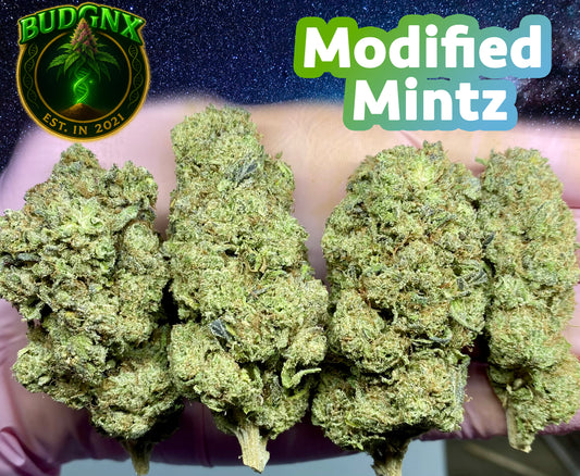 TOP SHELF Modified Mintz $120- Affordable Ounce