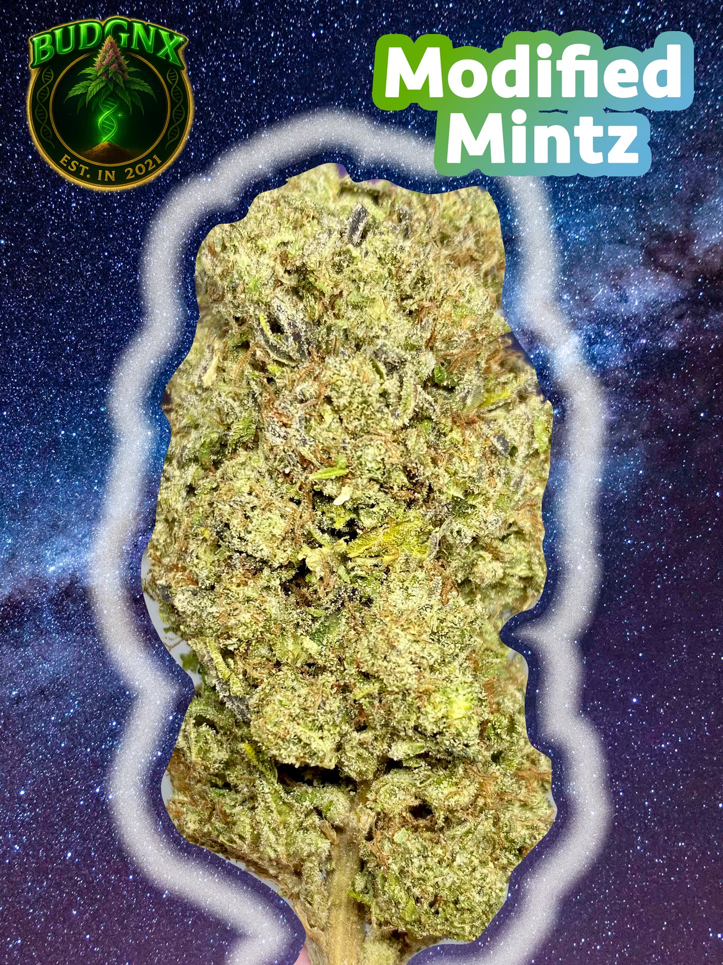 TOP SHELF Modified Mintz $120- Affordable Ounce