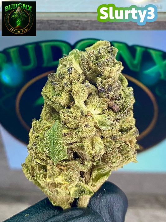 Slurty3 -Budget Ounce